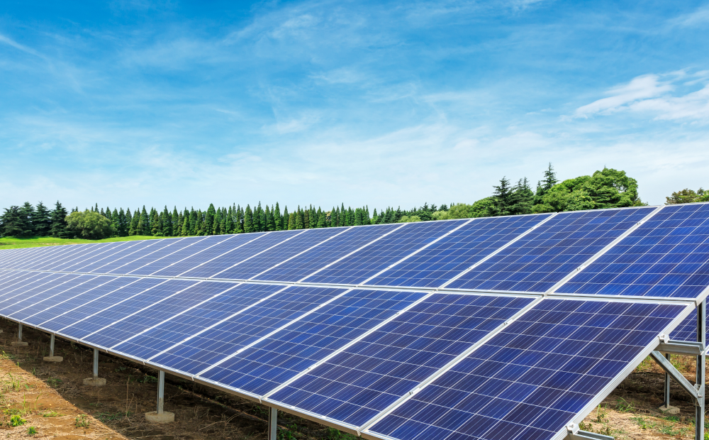Solar panel field under a bright blue sky, surrounded by trees and greenery, representing clean energy generation.