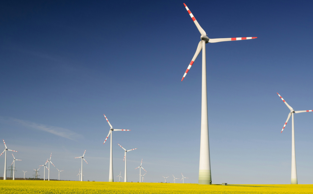 Wind turbines in a yellow field under a clear blue sky, representing renewable wind energy generation.